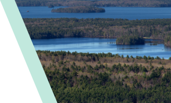 底泥修復技術(shù)