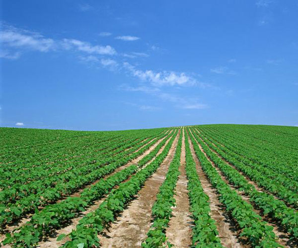 未來5年中國土壤監(jiān)測(cè)市場(chǎng)增量預(yù)測(cè)