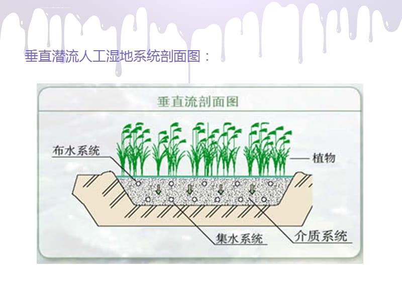 垂直流人工濕地 垂直流人工濕地