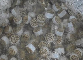 生物膜污水處理 填料 生物膜污水處理 填料