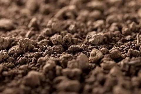 <a href=http://www.expomi.cn/turangjiance.html>土壤檢測</a> 土壤檢測