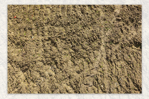 <a href=http://www.expomi.cn/turangjiance.html>土壤檢測</a> 土壤檢測