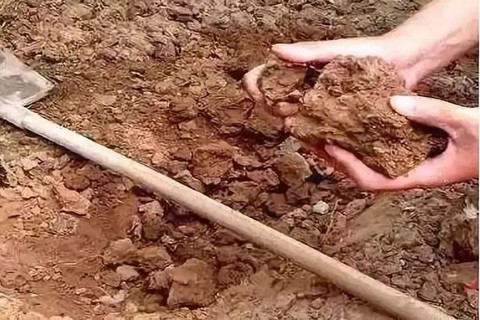 土壤調(diào)查 土壤調(diào)查