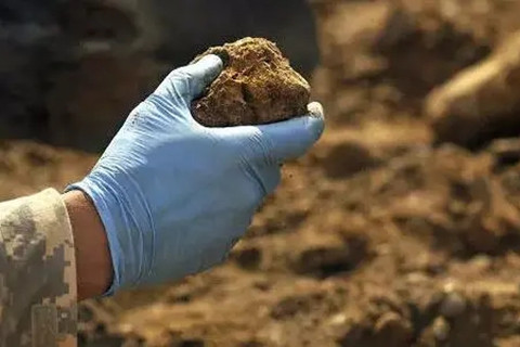 <a href=http://www.expomi.cn/turangjiance.html>土壤檢測</a>.jpg 土壤檢測.jpg